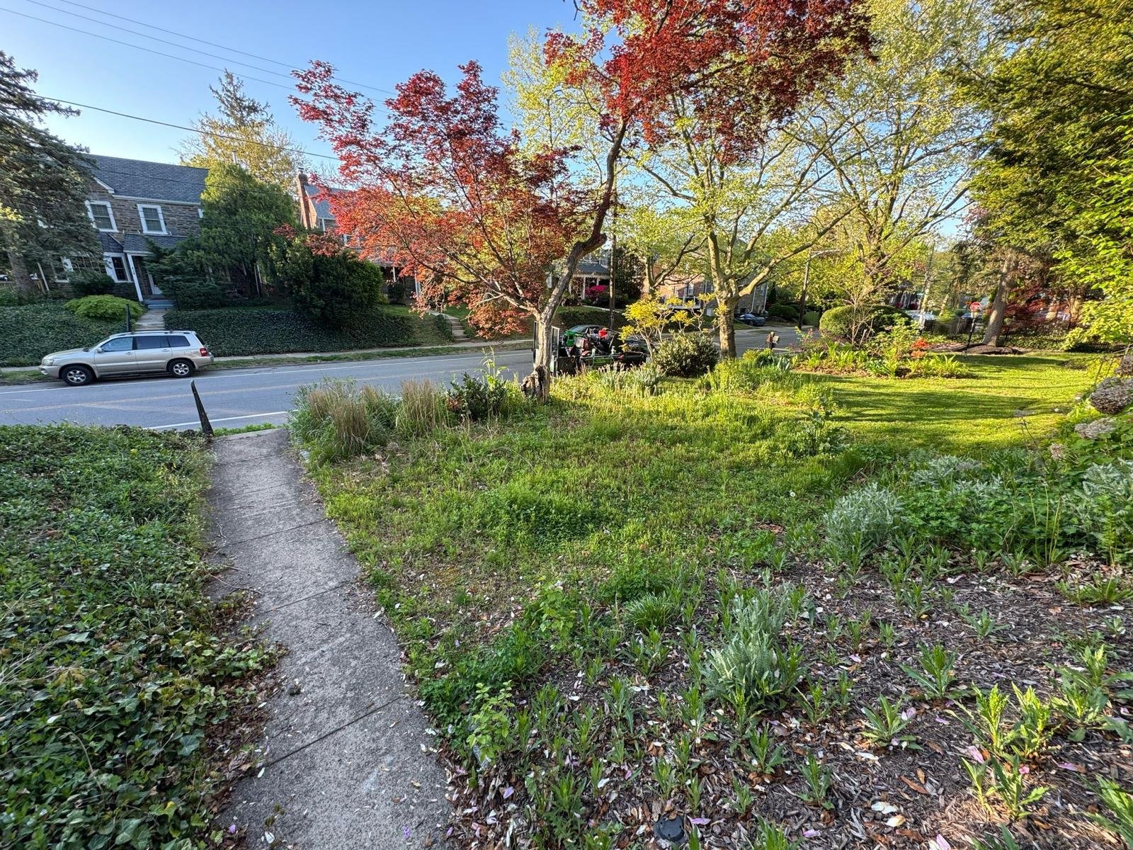 Yard cleanup work by Green Force Property Services